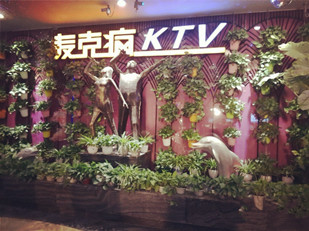 麦克疯KTV4